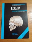 Anatomia prawidłowa człowieka Czaszka Walocha Skawina 