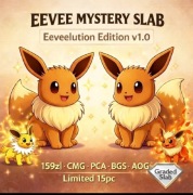 Pokemon Mystery Slab Box Eevee Eeveelutions Graded PCA AOG BGS Beckett PSA