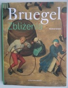 Bruegel. Zbliżenia - Manfred Sellink