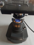 Mikroskop Euromex Arnhem No. 154270 Oryginał