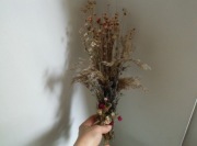 Bukiet suszony trawa pampasowa lawenda gliksja