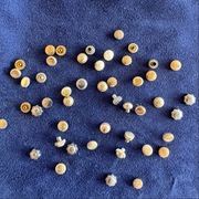 Komplet 50 sztuk koronek do zegarków vintage