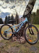 Rower dziecięcy Giant XTC JR 24