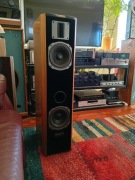 Quadral Shogun Phonogule Gold 