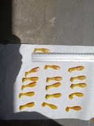 Przynęty gumowe- kopyta okoniowe