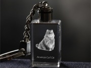 American Curl Cat brelok sześcienny Świecący