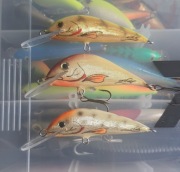 Woblery Pracownia Roztocze