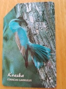 Karta telefoniczna Kraska