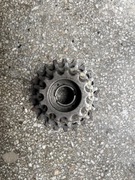 Wolnobieg Regina G.S.  Corse 6-rzędowy 13-22T