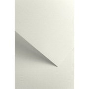 Papier ozdobny Galeria Floryda biały 220g/m2