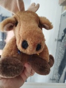 Łoś wielkości dłoni 