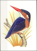 Wyspy Św Tomasza i Książęce - Ptaki, (zestaw 534)