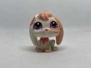 LPS Littlest pet shop królik #1304