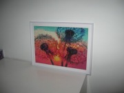 Obraz - rękodzieło, diamont- "Dmuchawce"