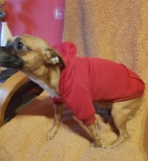 Ubranie dla psiaka rozmiar M