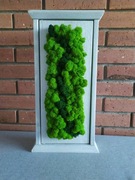 Szafka skrzynka na klucze drewno, mech, srebrna.