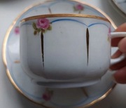 Thomas Rosenthal filiżanka ze spodkiem porcelana kwiaty 