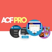 ACF PRO for WordPress | v6.2.4 