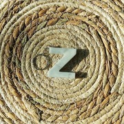 Breloczek z literką Z