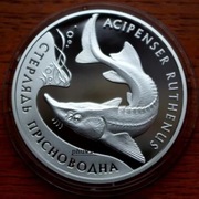 UKRAINA 2 UAH 2012r.Sterlet słodkowodny