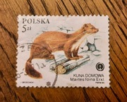 ZNACZEK POLSKI - Kuna domowa Martes foina ssak PL - Jacek Brodowski - 5zł 