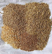 Mieszanka ziaren pasza dla drobiu 25kg