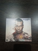 Fashawn - the ecology