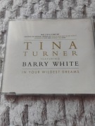 Tina Turner Barry White In Your Wildest Dreams CD 