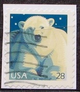 USA 2009 r. Niedźwiedź polarny