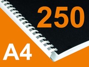 Podręcznik ksero A4 mono do 250 stron + bindowanie
