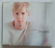 CHRISTIAN WUNDERLICH Why Goodbye