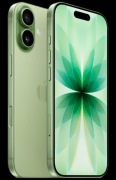 iPhone 17 256GB Green Stan Idealny Etui Gwarancja