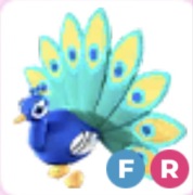 Peacock FR - Adopt Me Roblox