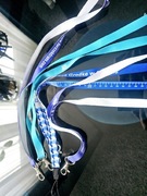 Zestaw smyczy 4 sztuki