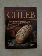 CHLEB Christine Ingram Jennie Shapter