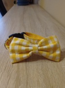 Obroża muszka dla psa