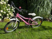 Rower Kross Grand Indy