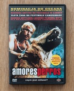 Amores Perros DVD 