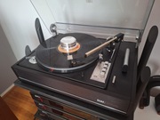 ELAC 770H + Nowa wkładka