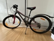 Rower Author a-matrix 24”