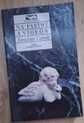 Na pastwę aniołów Jonathan Carroll