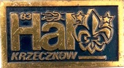 Odznaka harcerska HAL 83