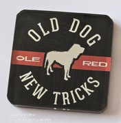 Magnes na lodówkę OLD DOG NEW TRICKS OLE RED (11). 