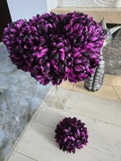 Chryzantema dwukolorowa bogate główki