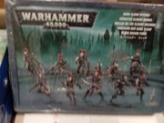 Dark Eldar Wyches