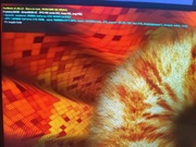 Pc ryzen 2600x 6 core, 16 GB ddr4 2933, GeForce GTX 1070 8gb.