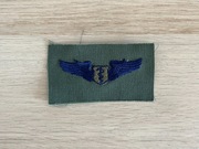 Naszywka - USAF - Basic Flight Surgeon Badge (OD Subdued)