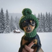 Zielona czapeczka dla małego pieska lub kotka – wykonana na szydełku