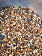 Karma ziarno dla papug proso 