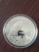 20 zł Sokół Wędrowny – Falco peregrinus